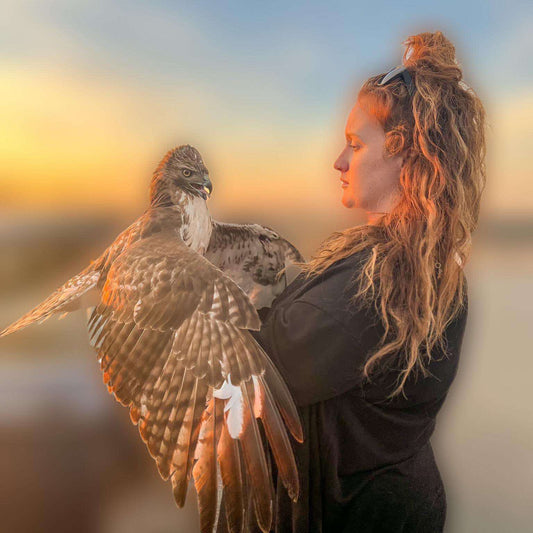 The Hardships of Wildlife Rescue Operations: A Glimpse into Steadfast Wildlife Rescue Rehab Inc.