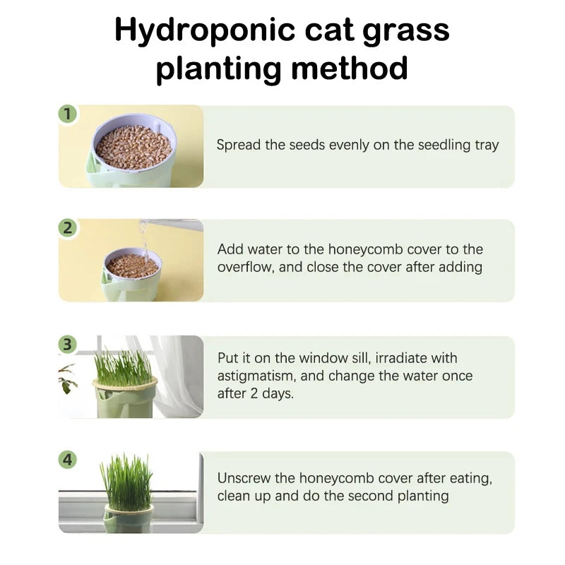 Hydroponic Cat Grass Box - Cat Snack Catnip Planting Bowl