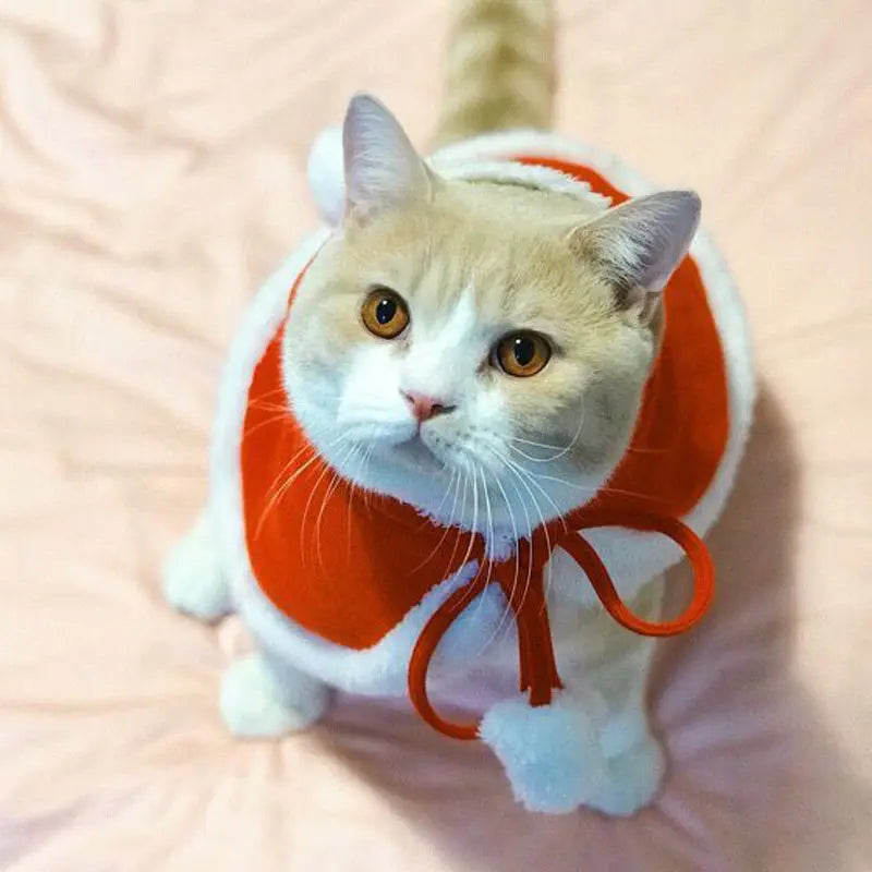 Santa Paws Pet Costume - Festive Christmas Cape and Scarf for Cats and Dogs