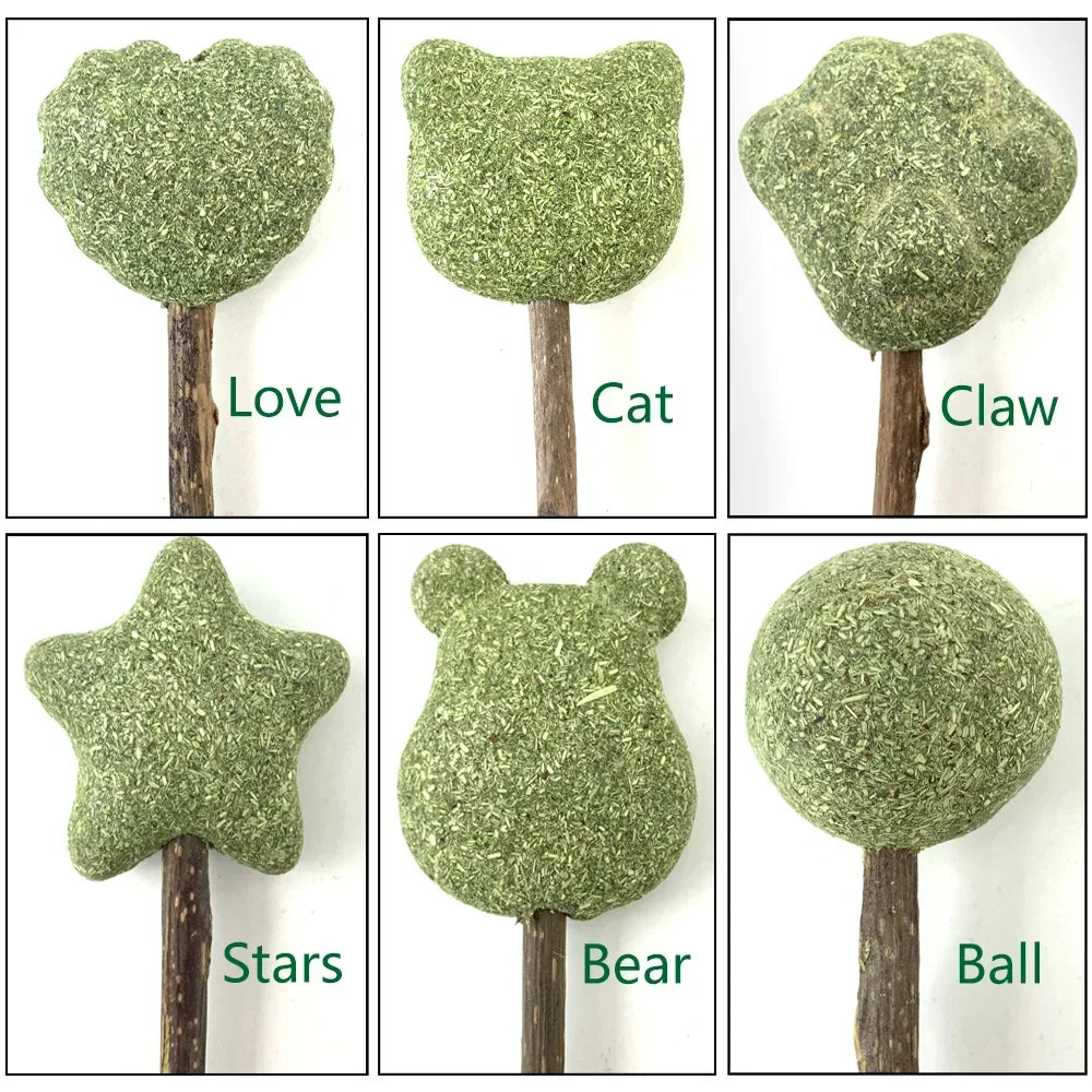 PetCloud Cat Catnip Lollipop – Irresistible Natural Cat Toys