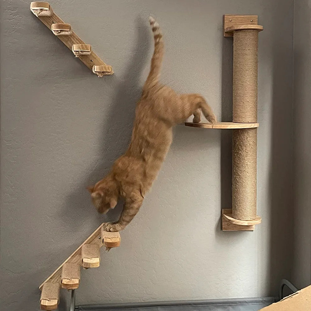 Wall-Mounted Cat Hammock: 4-Layer Climbing Platform with Scratching Post