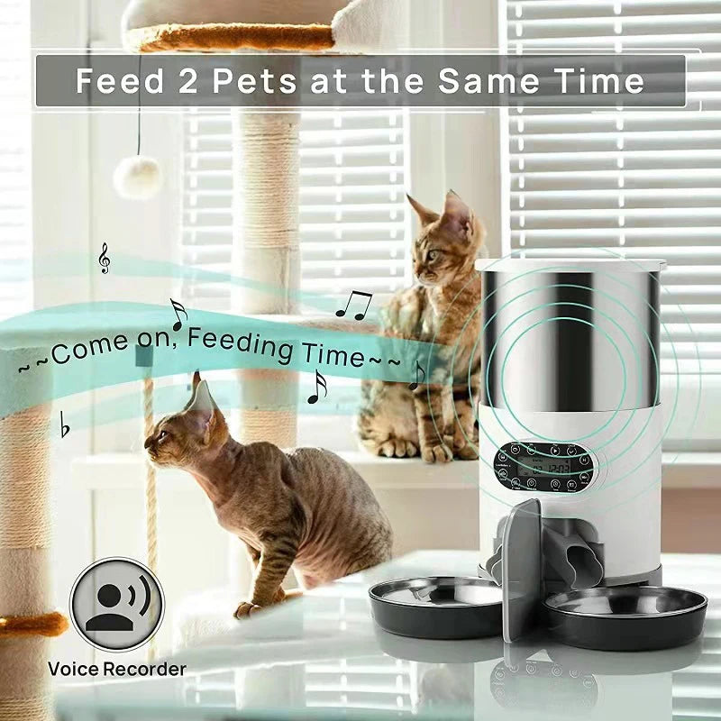 SmartPaws Double Meal Cat Feeder