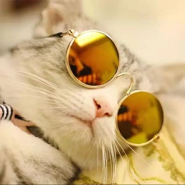 Chic Retro Cat Sunglasses - Reflective Round Eyewear for Pets, Kitten & Puppy Photo Props