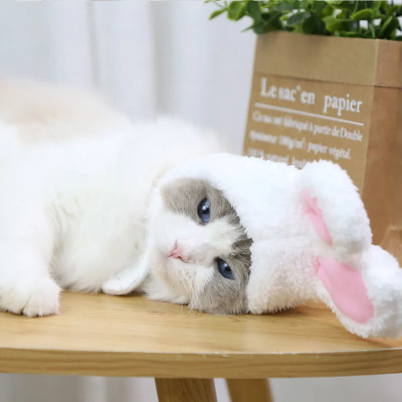 CDDMPET Funny Cat Rabbit Ears Cap