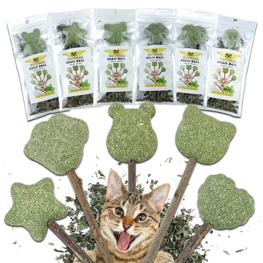 PetCloud Cat Catnip Lollipop – Irresistible Natural Cat Toys