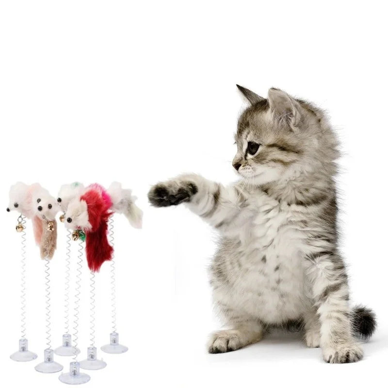 Assorted Interactive Cat Teaser Toys