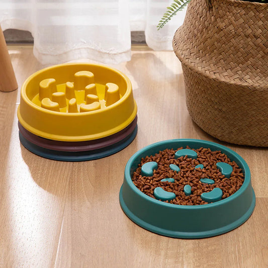 Premium Non-Slip Slow Feeder Pet Bowl for Cats and Small Dogs