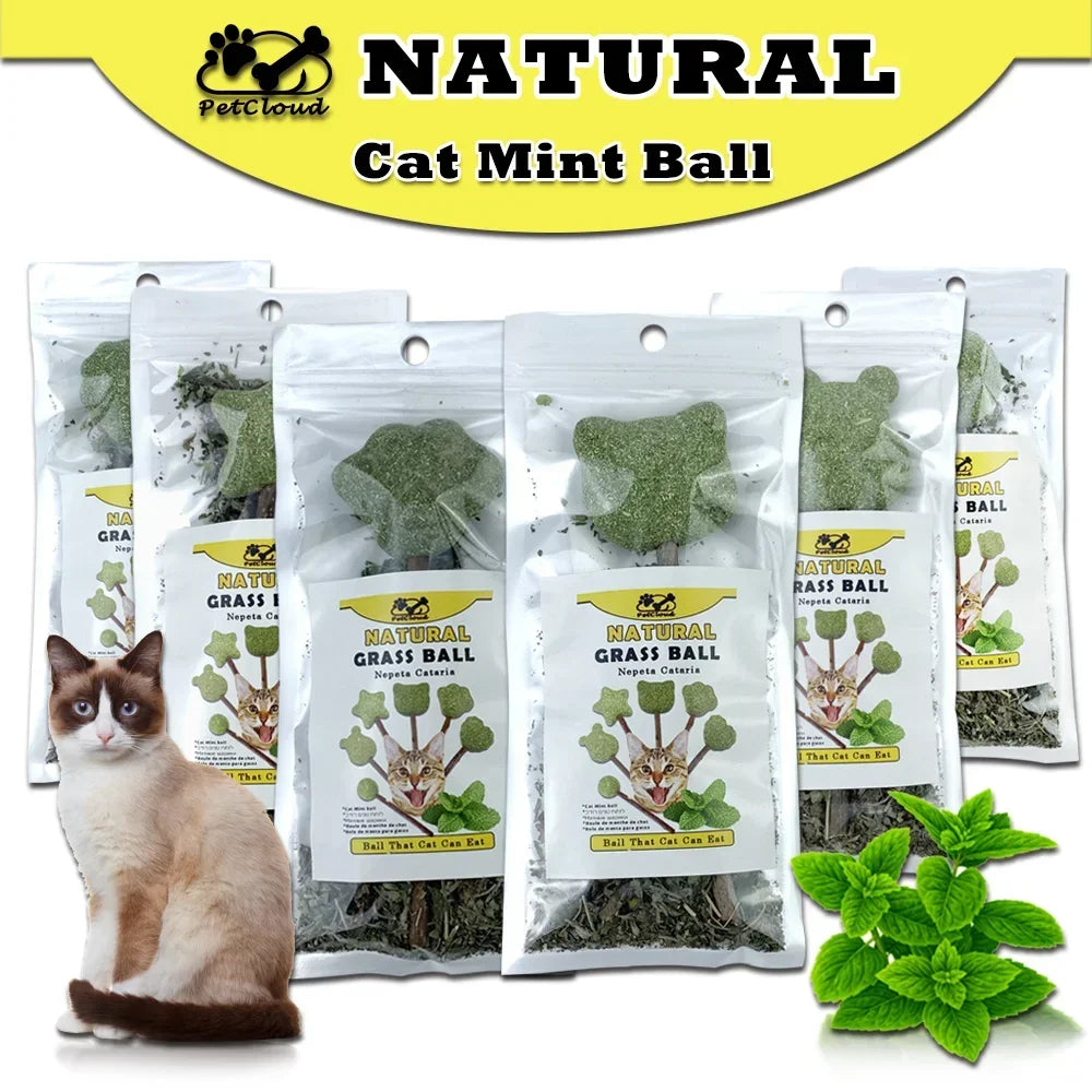 PetCloud Cat Catnip Lollipop – Irresistible Natural Cat Toys