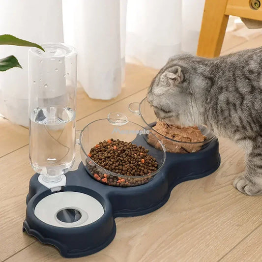 3-in-1 Cat Feeder with Water Fountain: Elevated Double Bowl Stand & Dish Set